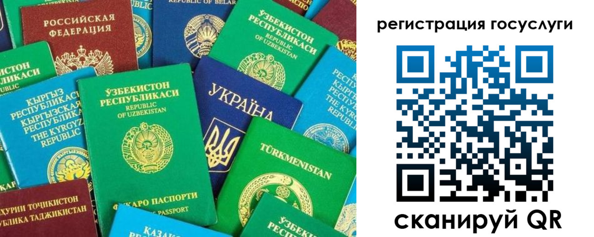 временная регистрация купить в Камчатской области